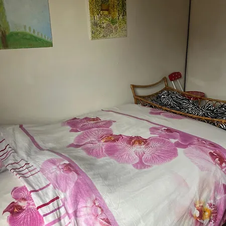Maison Confortable Avec Piscine Privée à * Bailleul (Nord)
